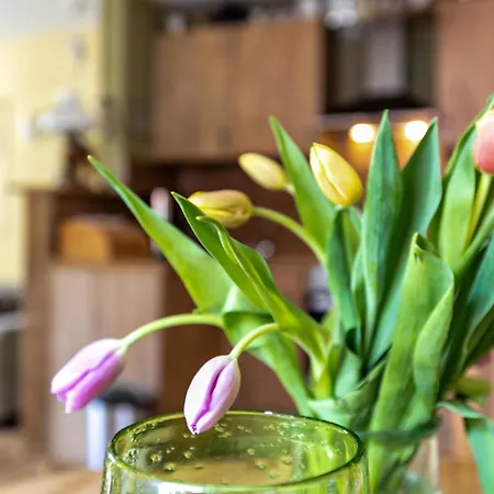 Feriehus Ferienwohnung Kaffeemuehle