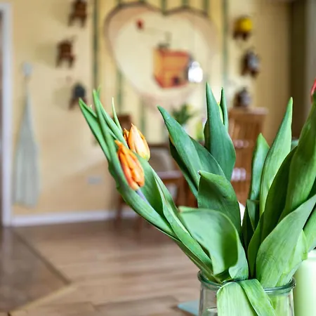 Kaffeemuehle 度假居 *